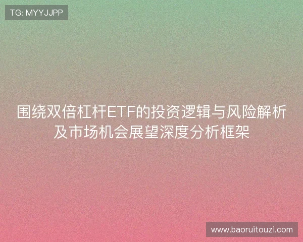 围绕双倍杠杆ETF的投资逻辑与风险解析及市场机会展望深度分析框架